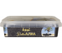 5 x Dattes Ajwa Ohoud (Médine) - 500gr