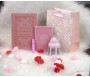 Pack Cadeau de Luxe Couleur Rose Clair (Le Noble Coran et les 40 hadiths bilingues - Parfum - Lanterne - Sac cadeau)