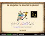 L'Arabe pour les Francophones - Niveau 1 + 2
