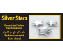 Diffuseur de parfum "Silver Stars" pour la voiture (8 ml) - Pour hommes