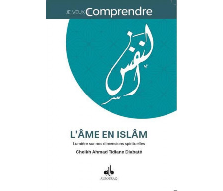 L' âme en islam : Lumière sur nos dimensions spirituelles