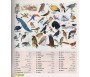 Dictionnaire Scolaire Français-arabe
