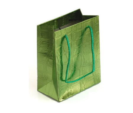 Petit sac cadeau brillant Vert - 14,5 x 12 cm