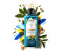 Shampooing Herbal Essences Réparation à Huile d'argan - 400ml