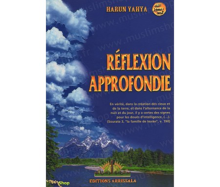 Reflexion Approfondie