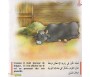 Le Fermier et ses Animaux (Livre + K7)