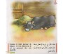Le Fermier et ses Animaux (Livre + CD)