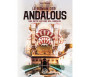Le roman des Andalous - une autre histoire d'Al-Andalous