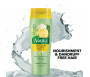 Shampoing au citron - 200ml