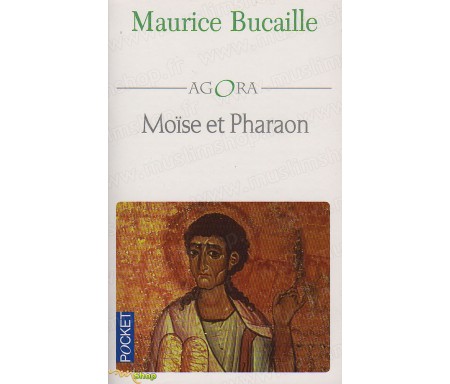 Moïse et pharaon - Les Hébreux en Egypte, quelles concordance des livres saints avec l'histoire ?