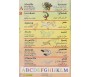 Mon dictionnaire arabe /français - français/arabe avec 80 images autocollantes en couleur