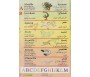 Mon dictionnaire arabe /français - français/arabe avec 80 images autocollantes en couleur