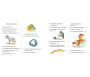 Pack : Histoires pour dormir et mon Coussin Nuage Qur'an et Dou'a - Version Jaune