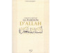 Comment obtenir le pardon d’Allah