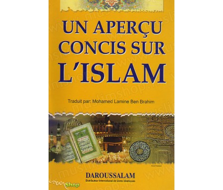 Un Aperçu Concis sur l'Islam