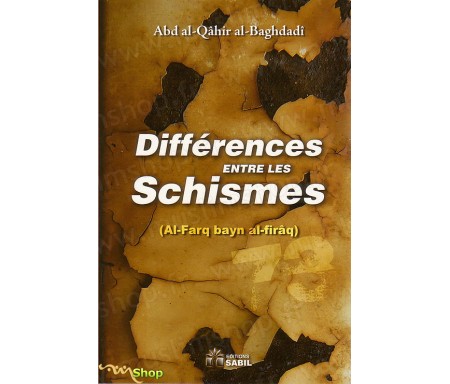 Différences entre les Schismes