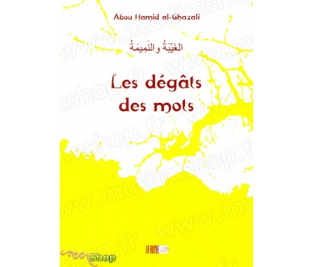 Les Dégâts des Mots - Précis d' Abû Hâmid AL-GHAZÂLÎ - Collection de la Tradition Musulmane Tome 12