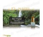 Parfum El Nabil - Musc Tropical - 5 ml