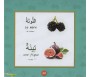 Imagier des Fruits et des Légumes (Arabe-Français)