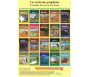 Pack 20 livres : Les récits des prophètes à la lumière du Coran et de la Sunna (Collection complète)