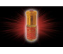 Parfum concentré sans alcool Musc d'Or "Meriem" (3 ml) - Pour femmes