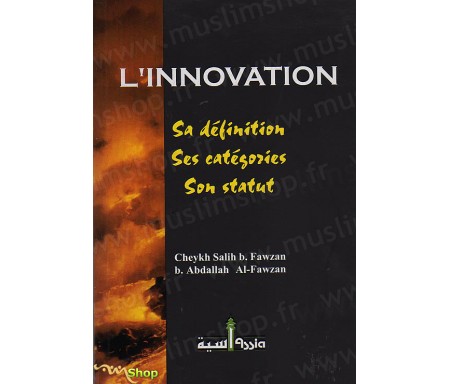 L'Innovation - Sa définition, Ses catégories, Son statut