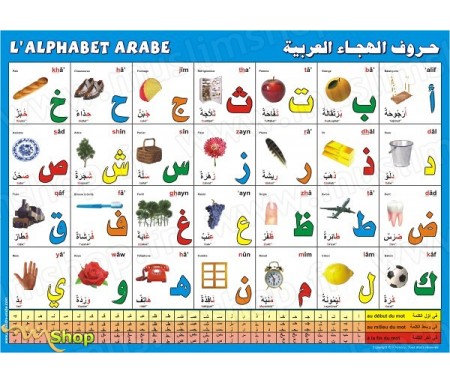 Poster : L'alphabet arabe (bilingue français - arabe)
