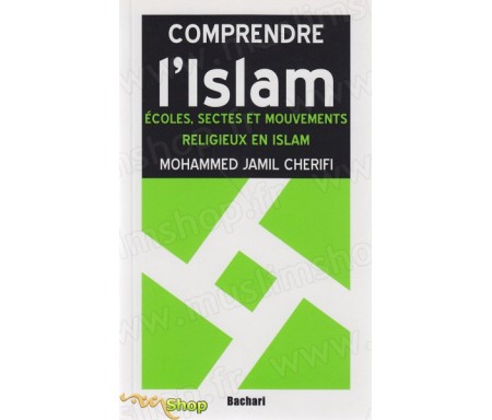 Comprendre l'Islam - Ecoles, sectes et mouvements religieux en Islam