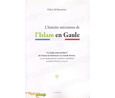 L'histoire méconnue de l'Islam en Gaule