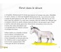 Pack 2 livres "Histoires pour dormir" (La vie du Prophète Mohammed et Histoires du tirées du Coran)
