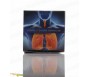 Phyto Sirop Asthme et Système respiratoire (MEA) -150ml