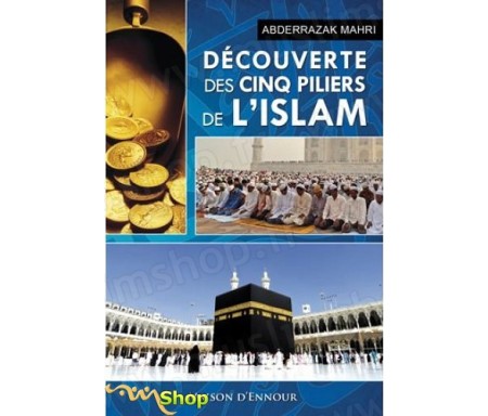 La découverte des cinq piliers