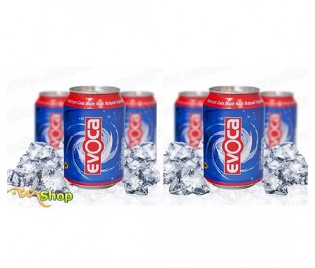 Pack 6 canettes Evoca Cola - Eau minérale Naturelle Gazeuze à l'extrait de graine de nigelle