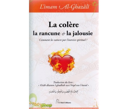 La colère, la rancune et la jalousie - Comment les vaincre par l'exercice spirituel ?